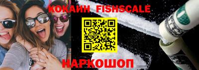 крисы Шебекино
