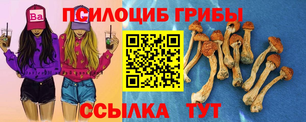 наркотики  Галлюциногенные грибы GOLDEN TEACHER  Вход с VPN  Вышний Волочёк 