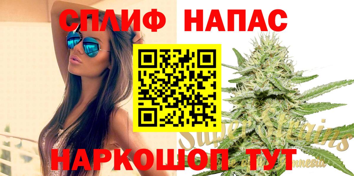 Бошки Шишки ГИДРОПОН  Каннабис планчик  Шишки марихуана сатива  Вход с VPN  Вышний Волочёк 